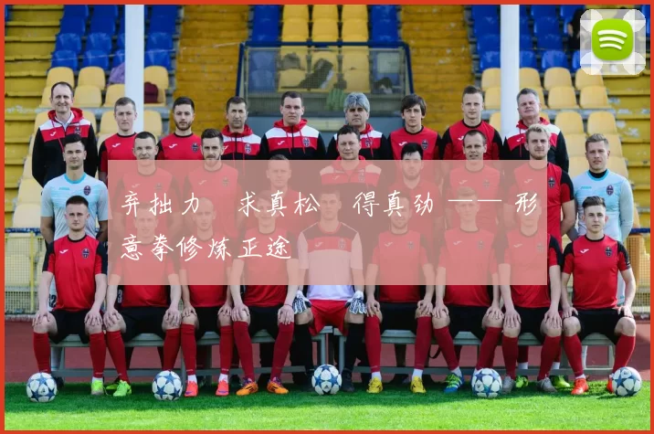 弃拙力・求真松・得真劲 —— 形意拳修炼正途