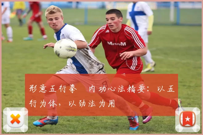 形意五行拳・内功心法精要:以五行为体,以劲法为用