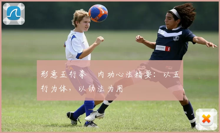 形意五行拳・内功心法精要:以五行为体,以劲法为用