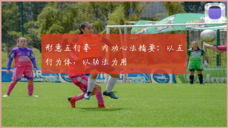 形意五行拳・内功心法精要：以五行为体，以劲法为用