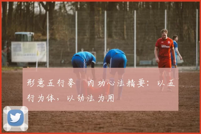 形意五行拳・内功心法精要:以五行为体,以劲法为用