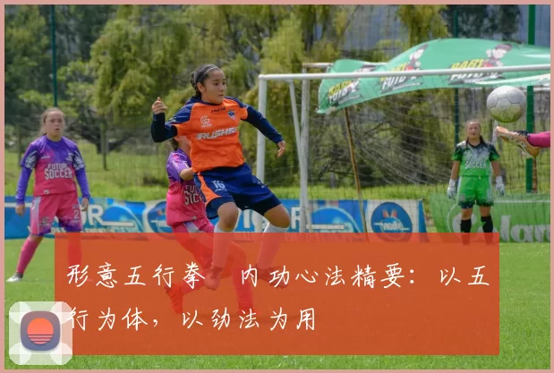 形意五行拳・内功心法精要：以五行为体，以劲法为用