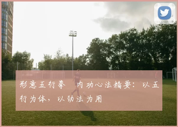 形意五行拳・内功心法精要：以五行为体，以劲法为用