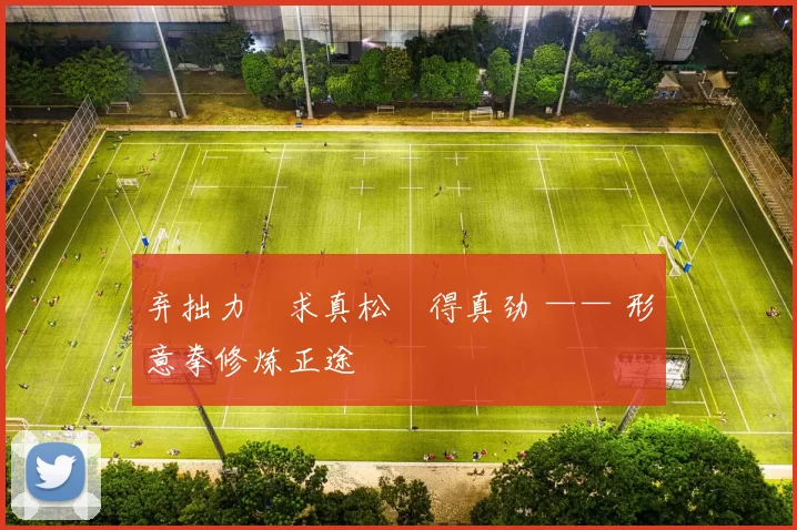 弃拙力・求真松・得真劲 —— 形意拳修炼正途