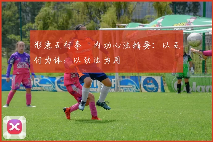 形意五行拳・内功心法精要：以五行为体，以劲法为用