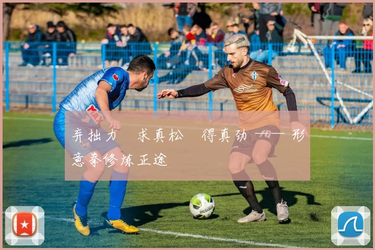 弃拙力・求真松・得真劲 —— 形意拳修炼正途