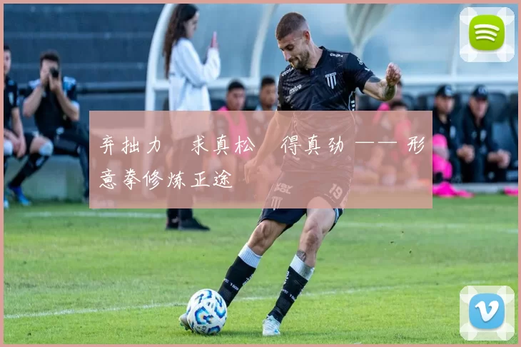 弃拙力・求真松・得真劲 —— 形意拳修炼正途