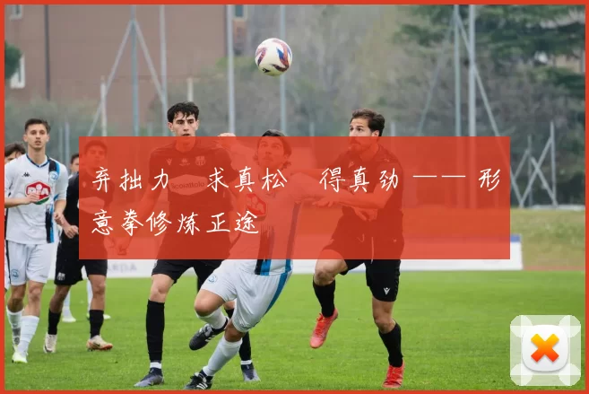 弃拙力・求真松・得真劲 —— 形意拳修炼正途