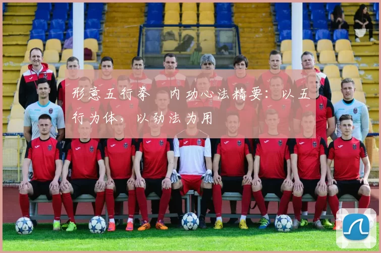 形意五行拳・内功心法精要:以五行为体,以劲法为用