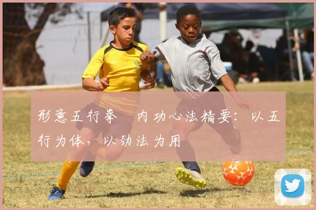 形意五行拳・内功心法精要：以五行为体，以劲法为用