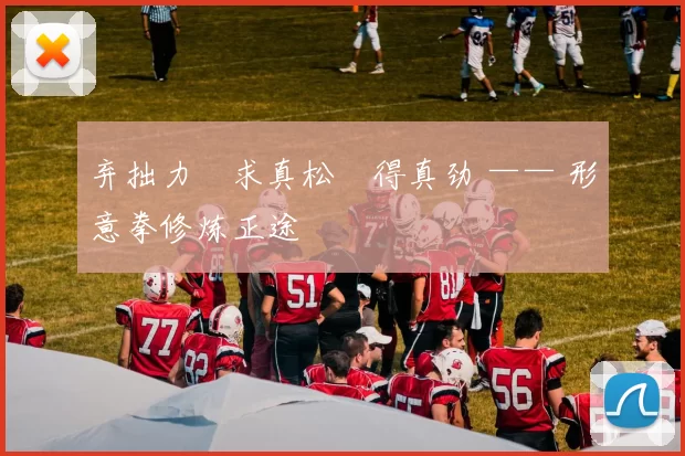 弃拙力・求真松・得真劲 —— 形意拳修炼正途