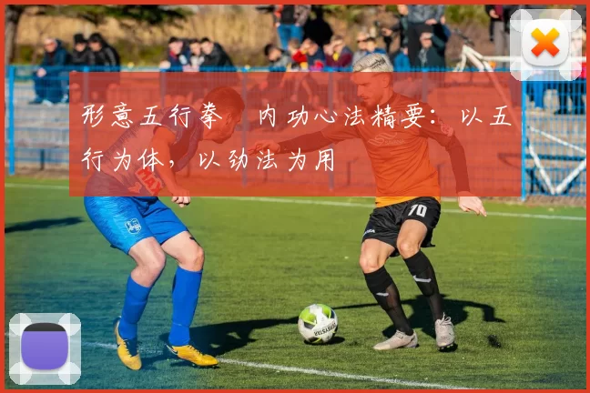 形意五行拳・内功心法精要：以五行为体，以劲法为用