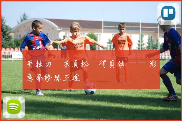 弃拙力・求真松・得真劲 —— 形意拳修炼正途