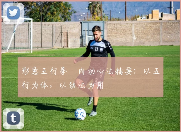 形意五行拳・内功心法精要:以五行为体,以劲法为用