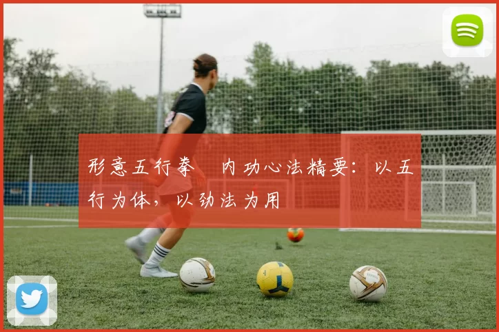 形意五行拳・内功心法精要:以五行为体,以劲法为用