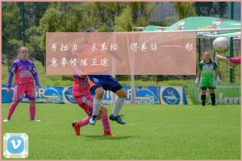 弃拙力・求真松・得真劲 —— 形意拳修炼正途