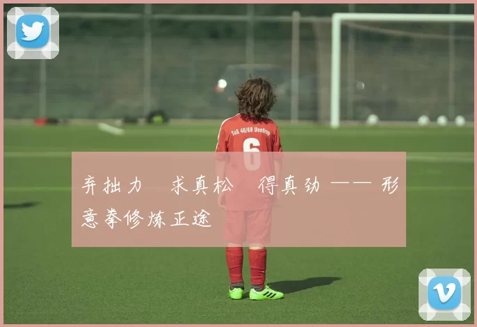 弃拙力・求真松・得真劲 —— 形意拳修炼正途