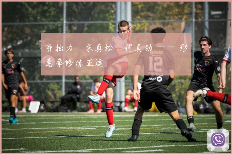 弃拙力・求真松・得真劲 —— 形意拳修炼正途