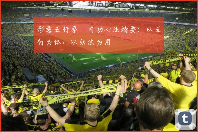 形意五行拳・内功心法精要:以五行为体,以劲法为用