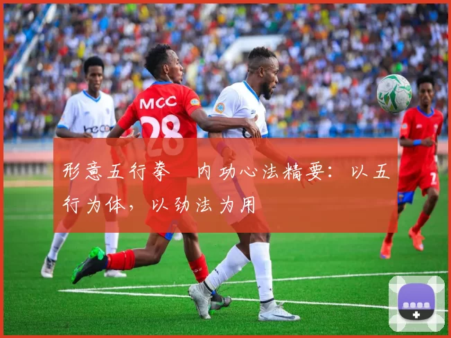 形意五行拳・内功心法精要:以五行为体,以劲法为用