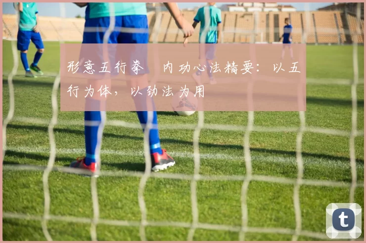 形意五行拳・内功心法精要：以五行为体，以劲法为用