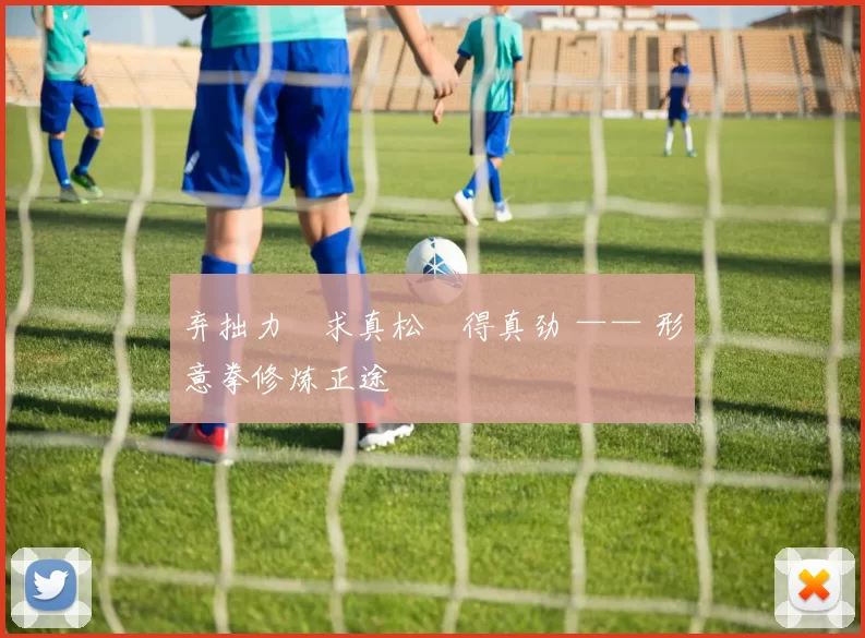 弃拙力・求真松・得真劲 —— 形意拳修炼正途