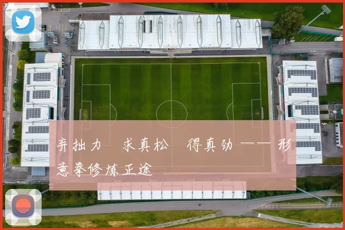 弃拙力・求真松・得真劲 —— 形意拳修炼正途
