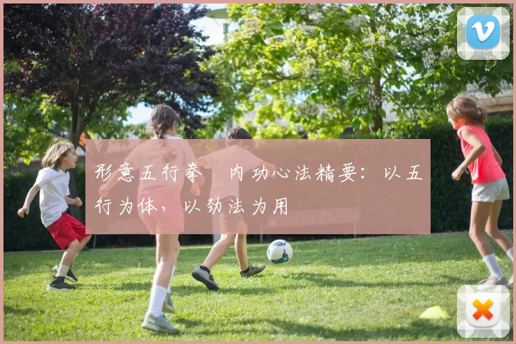 形意五行拳・内功心法精要:以五行为体,以劲法为用