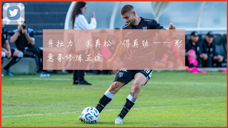 弃拙力・求真松・得真劲 —— 形意拳修炼正途