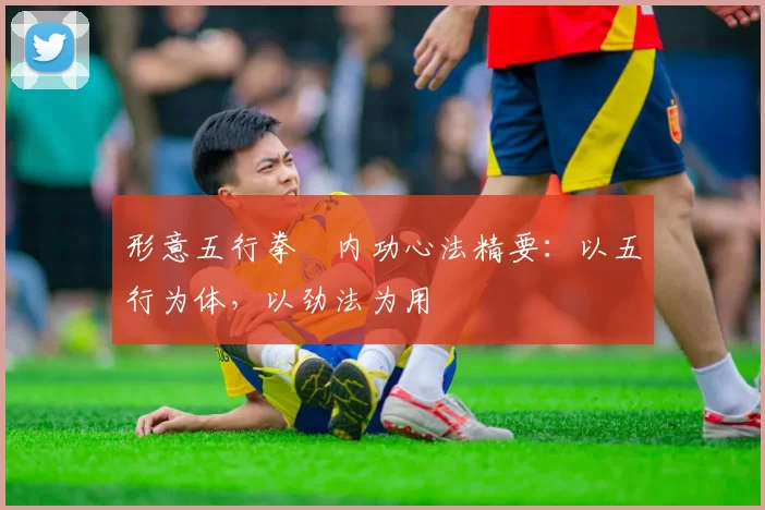 形意五行拳・内功心法精要:以五行为体,以劲法为用