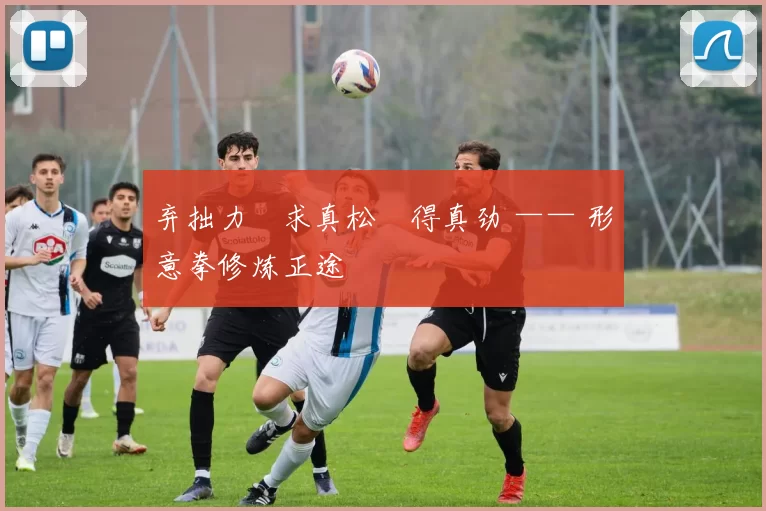 弃拙力・求真松・得真劲 —— 形意拳修炼正途