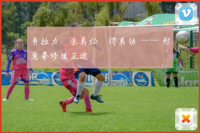 弃拙力・求真松・得真劲 —— 形意拳修炼正途