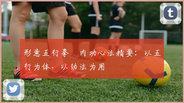 形意五行拳・内功心法精要：以五行为体，以劲法为用