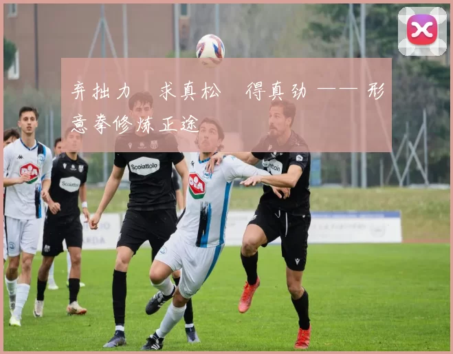 弃拙力・求真松・得真劲 —— 形意拳修炼正途