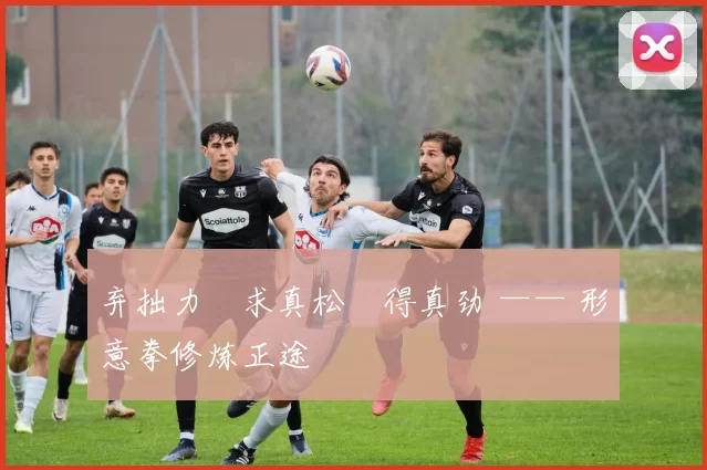 弃拙力・求真松・得真劲 —— 形意拳修炼正途