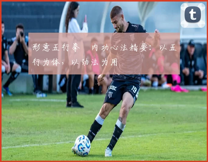 形意五行拳・内功心法精要:以五行为体,以劲法为用