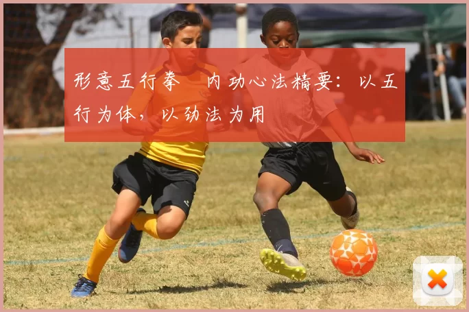 形意五行拳・内功心法精要:以五行为体,以劲法为用