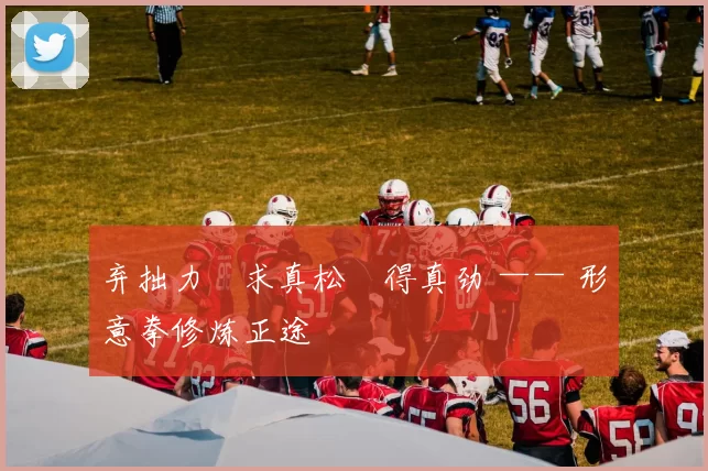 弃拙力・求真松・得真劲 —— 形意拳修炼正途