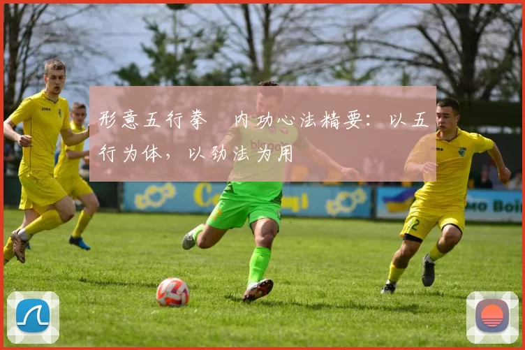 形意五行拳・内功心法精要：以五行为体，以劲法为用