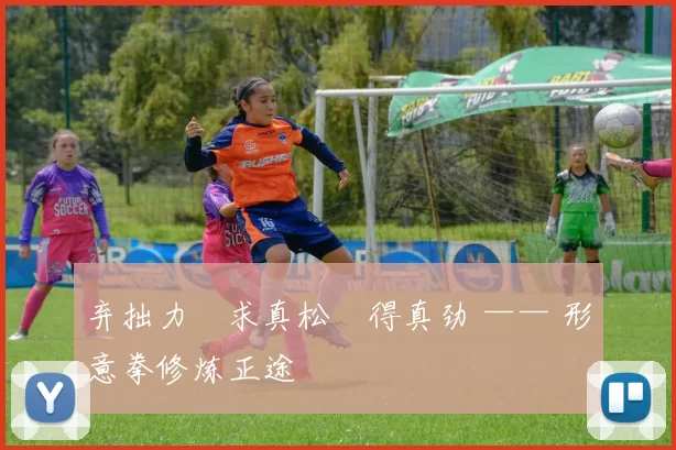 弃拙力・求真松・得真劲 —— 形意拳修炼正途