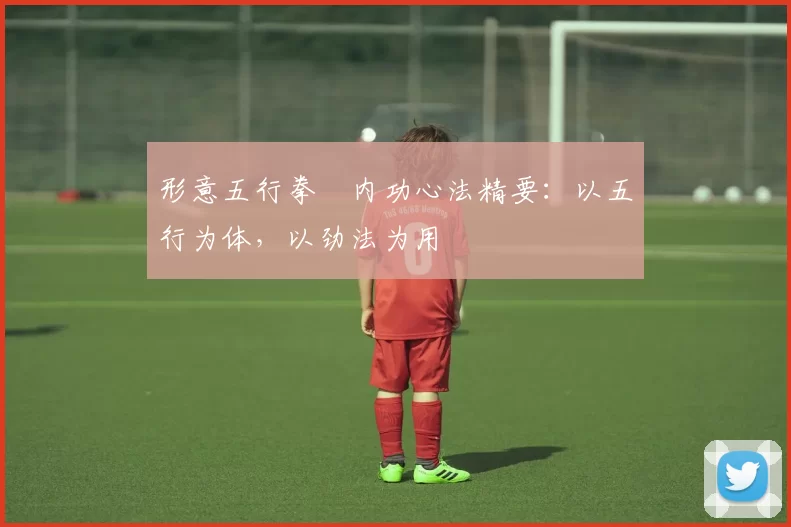 形意五行拳・内功心法精要:以五行为体,以劲法为用