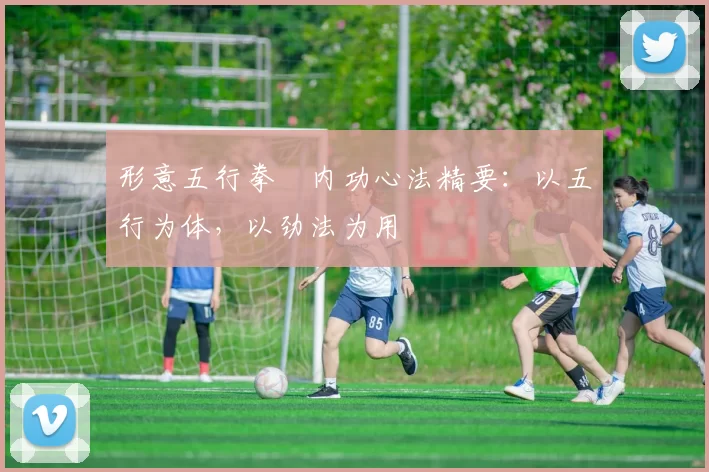 形意五行拳・内功心法精要：以五行为体，以劲法为用