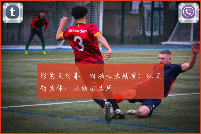 形意五行拳・内功心法精要：以五行为体，以劲法为用