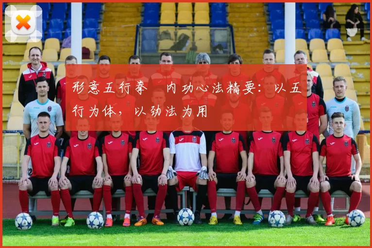 形意五行拳・内功心法精要:以五行为体,以劲法为用