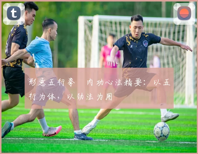 形意五行拳・内功心法精要：以五行为体，以劲法为用