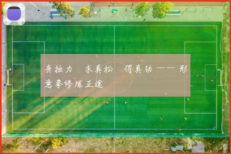 弃拙力・求真松・得真劲 —— 形意拳修炼正途