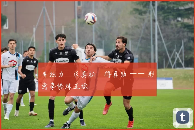 弃拙力・求真松・得真劲 —— 形意拳修炼正途