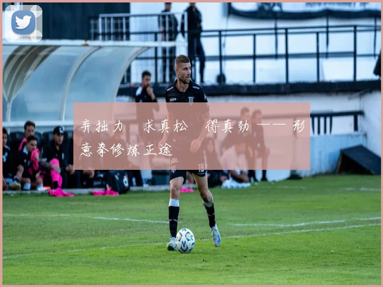 弃拙力・求真松・得真劲 —— 形意拳修炼正途