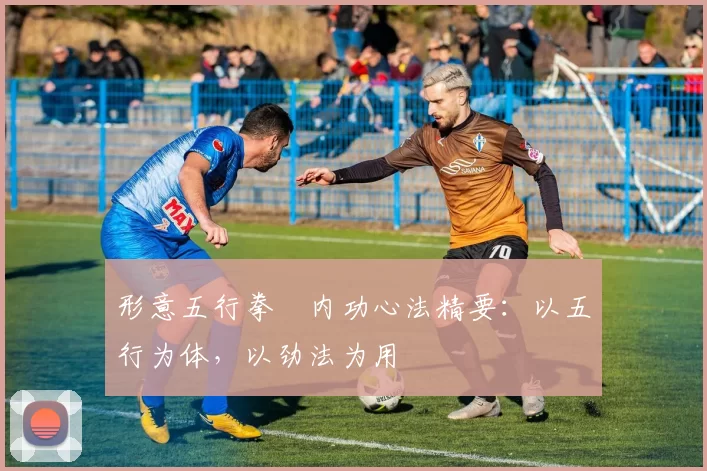 形意五行拳・内功心法精要：以五行为体，以劲法为用