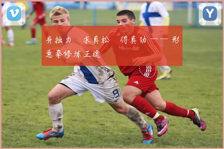 弃拙力・求真松・得真劲 —— 形意拳修炼正途